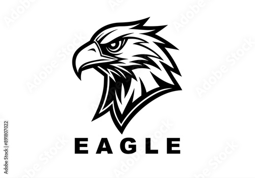 america, auto, auto sport, automobile, automotive, business, eagle logo , fire, fly, fun, game, identity, media, motor, motor show, old, pheonix, phoenix, property, real estate, red, smart objects,