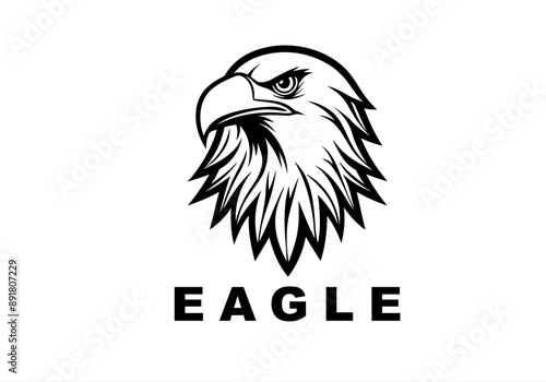 america, auto, auto sport, automobile, automotive, business, eagle logo , fire, fly, fun, game, identity, media, motor, motor show, old, pheonix, phoenix, property, real estate, red, smart objects,