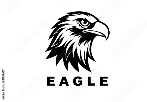 america, auto, auto sport, automobile, automotive, business, eagle logo , fire, fly, fun, game, identity, media, motor, motor show, old, pheonix, phoenix, property, real estate, red, smart objects,