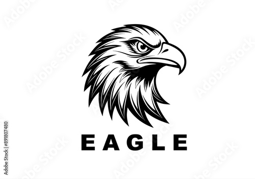america, auto, auto sport, automobile, automotive, business, eagle logo , fire, fly, fun, game, identity, media, motor, motor show, old, pheonix, phoenix, property, real estate, red, smart objects,