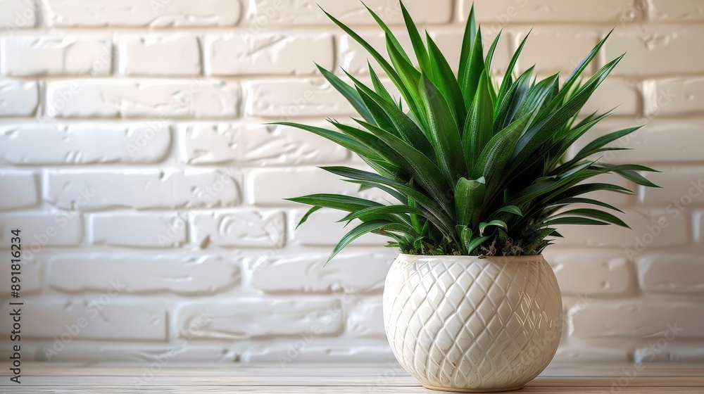 a yucca plant in a decorative pot in front of a white brick wall a yucca plant in a decorative pot in front of a white brick wall