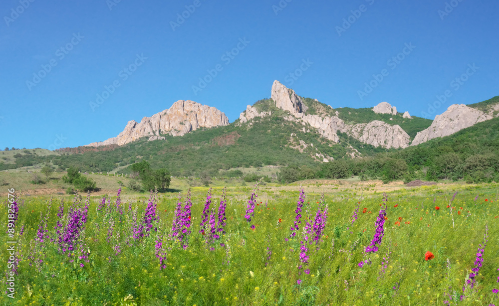 Fototapeta premium Mountain peak and wildflowers on green meadow. Nature landscape.