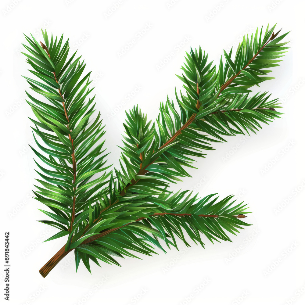 An image of a green spruce branch on a white background. It's a realistic drawing of a Christmas tree, perfect for holiday cards or party posters in 2024. An image of a green spruce branch on a white background. It's a realistic drawing of a Christmas tree, perfect for holiday cards or party posters in 2024.