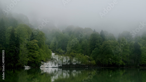 Beautiful green lake landscape with misty trees in autumn 