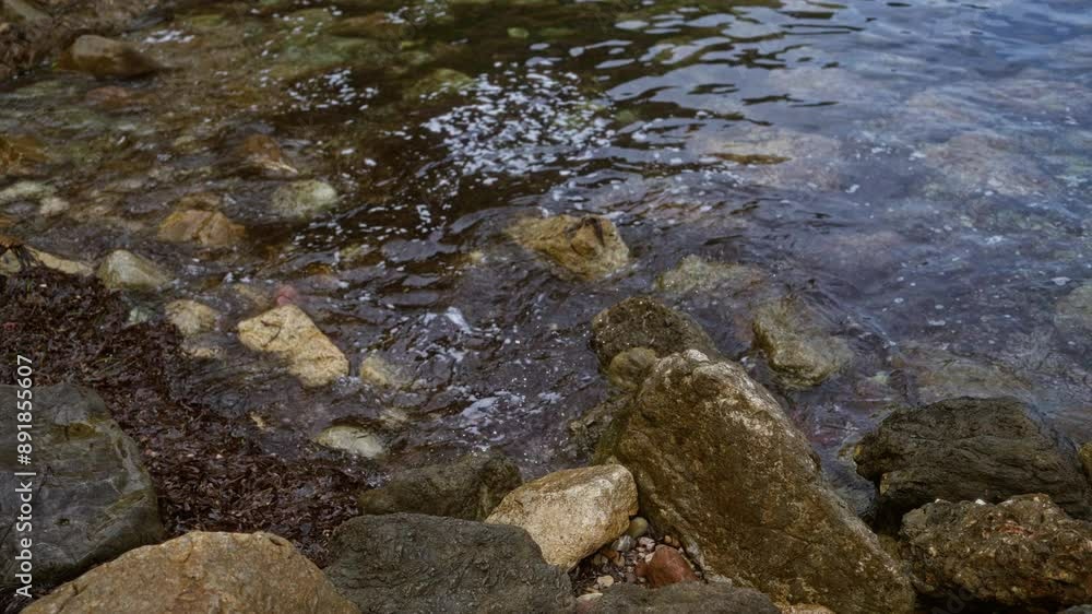 Rocky shoreline with clear shallow water and seaweed, displaying natural coastal scenery and textures in an outdoor setting Rocky shoreline with clear shallow water and seaweed, displaying natural coastal scenery and textures in an outdoor setting