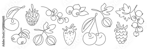 Abstract Berries doodle set. Vegetarian food, natural healthy Berry fruit in sketch style. Black line Hand drawn Modern illustration. Summer harvest. Design element