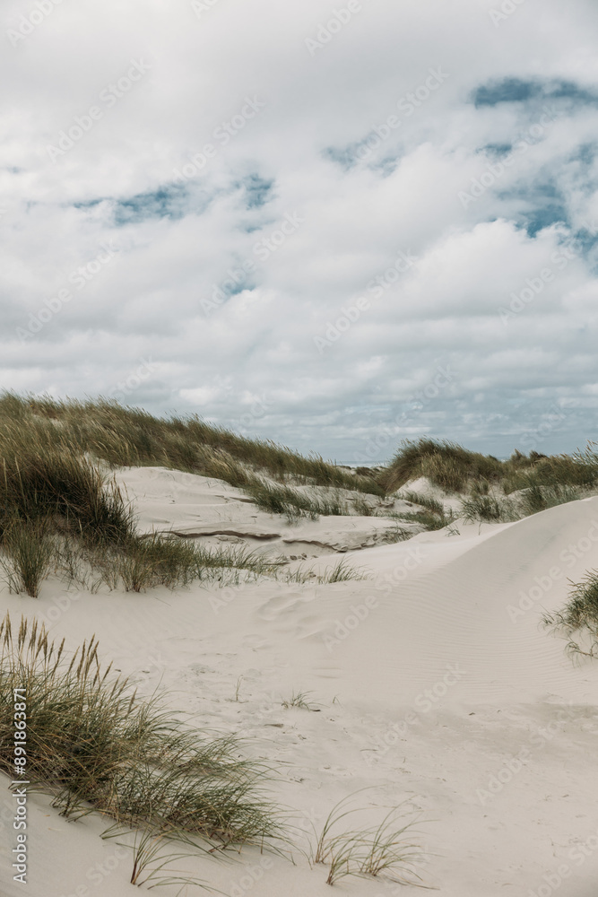 Moving sand dune Rabjerg Mile in northern Jytland, Denmark, Europe Moving sand dune Rabjerg Mile in northern Jytland, Denmark, Europe
