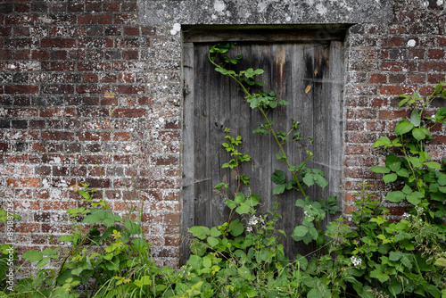 Overgrown Door