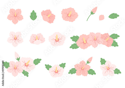 Cuadro en lienzo Vector illustration of Korean flower Rose of Sharon.