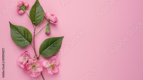 Summer concept with green leaf and pink flowers on pink backdrop Top down view with room for text