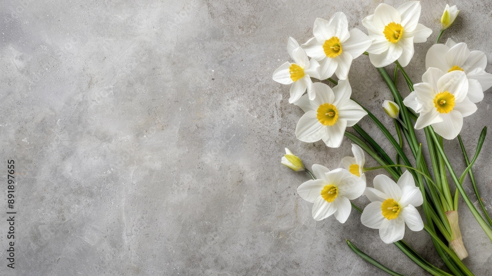 White and yellow daffodils on gray textured background White and yellow daffodils on gray textured background