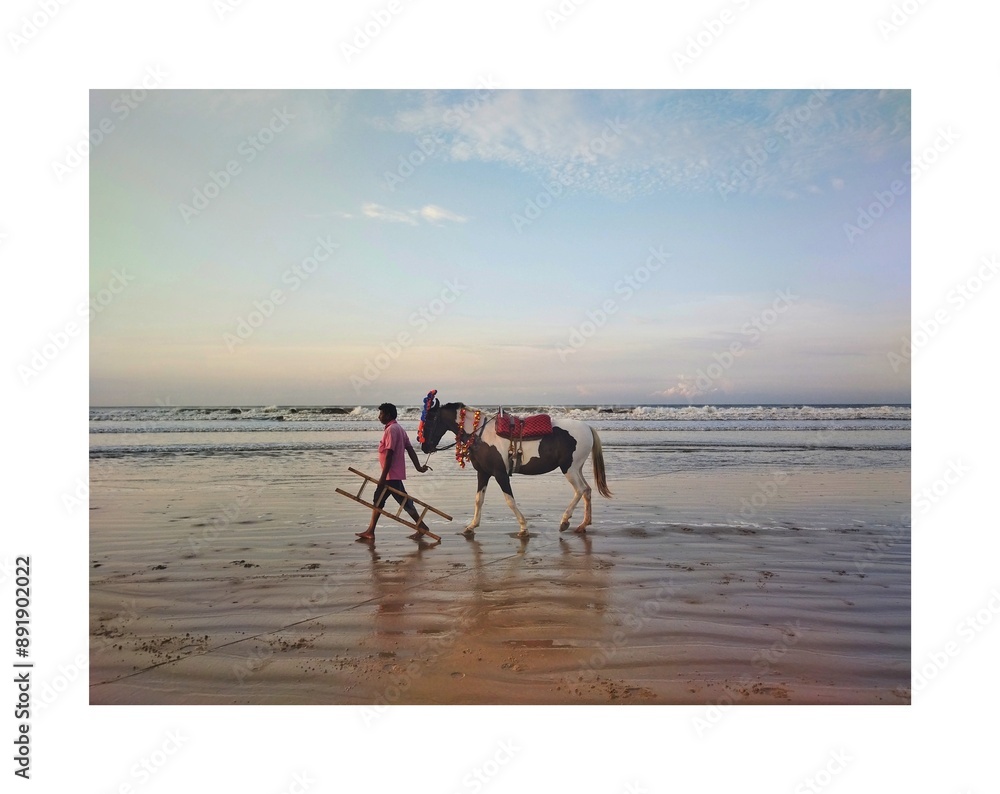 horse on the beach horse on the beach
