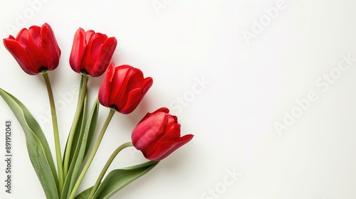 Three red tulips on white background with space for text viewed from above