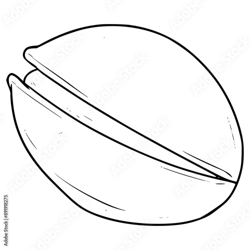 pistachio nut illustration hand drawn outline vector