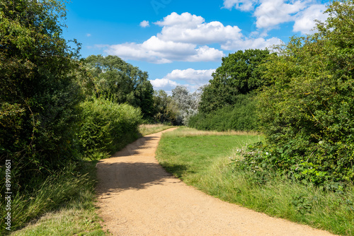 Walkway in a green summer forest in London, Hainault Forest Country Park photo