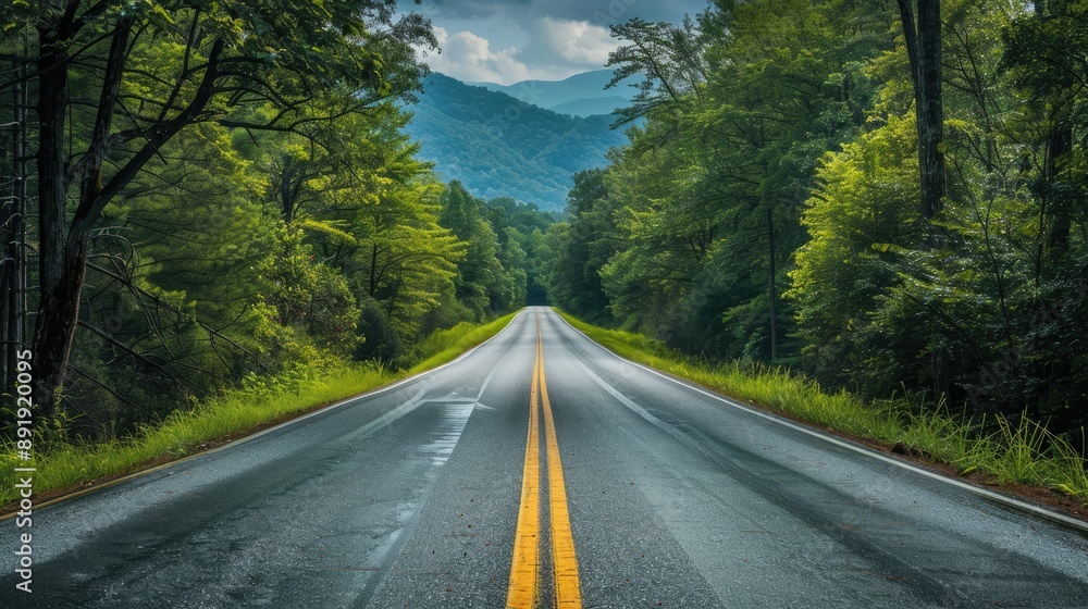 Fototapeta premium Long, picturesque road leading to the Great Smoky Mountains National Park, Tennessee, with a view of lush trees and mountain peaks