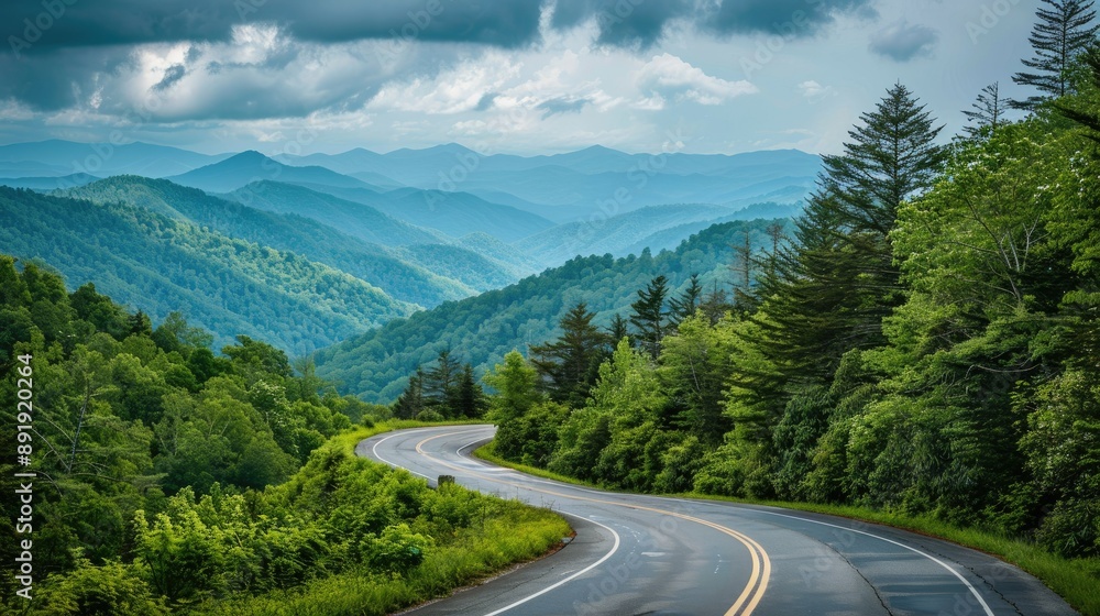 Fototapeta premium Long, winding road leading to the Great Smoky Mountains National Park, Tennessee, with lush trees and mountainous terrain