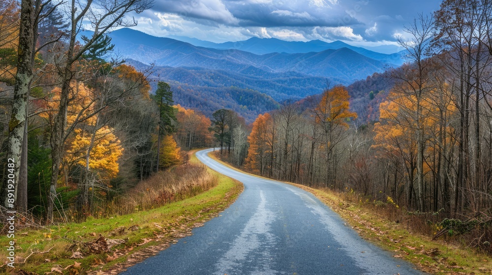 Obraz premium Road disappearing into the Great Smoky Mountains National Park, Tennessee, with scenic forest and rolling hill landscapes