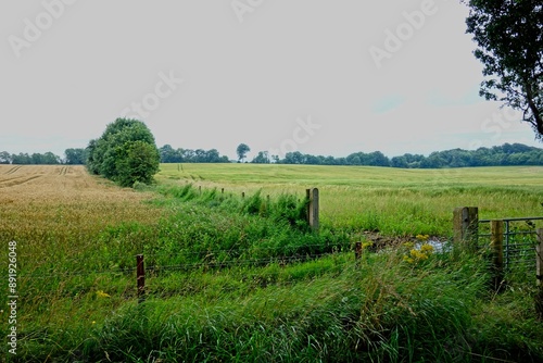 Photography Taking a day trip from Dublin to the Northern Ireland coast and Giant's Causeway