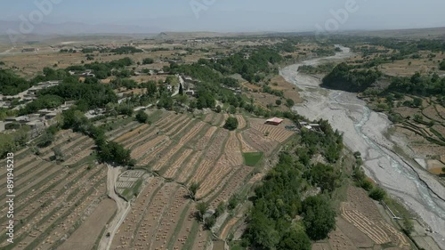 Aerial Shots of Wheat Fields  photo