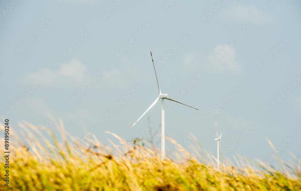 Wind turbines to produce electricity Wind turbines to produce electricity