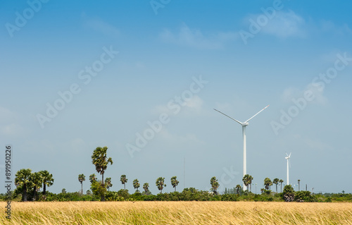 Wind turbines to produce electricity