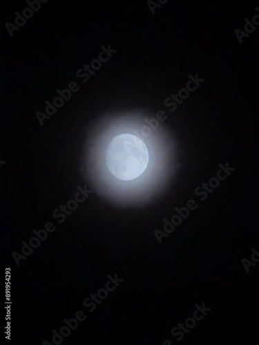 moon in the night