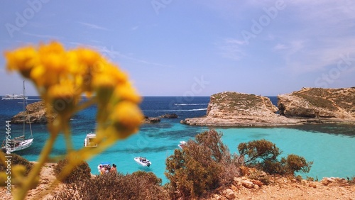 Blue lagoon, revealing shot from behind yellow flowers. High quality photo photo