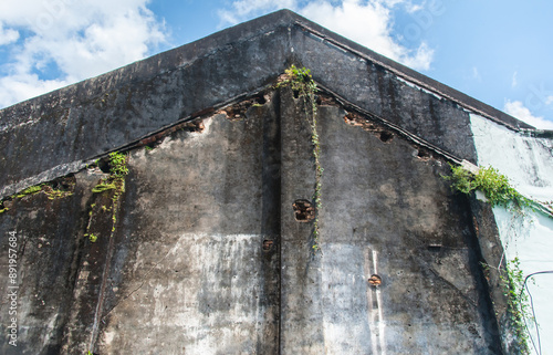 Bild auf Leinwand Building dark gray exterior is weathered featuring an old triangular gable marked by signs of moisture damage with greenery growing along the roofline and edges