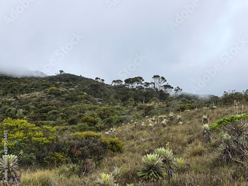 Paramo city