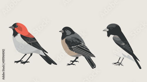 Sparrow, bullfinch and crow in a minimalist style. minimalistic vector. Illustrations