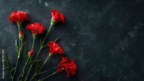 Red carnations on dark background Flat lay with empty space