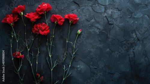 Red carnations on dark background Flat lay with empty space