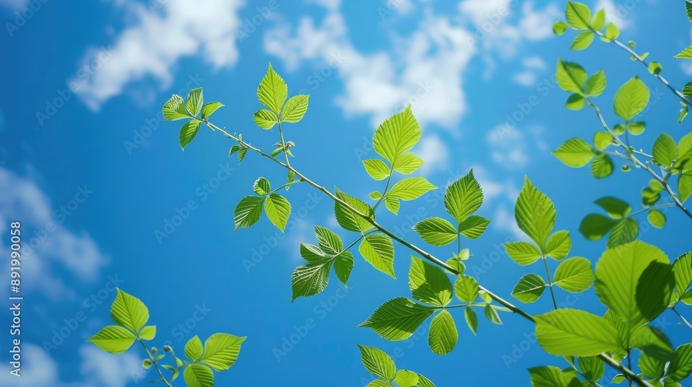 Plants of green under blue sky Plants of green under blue sky