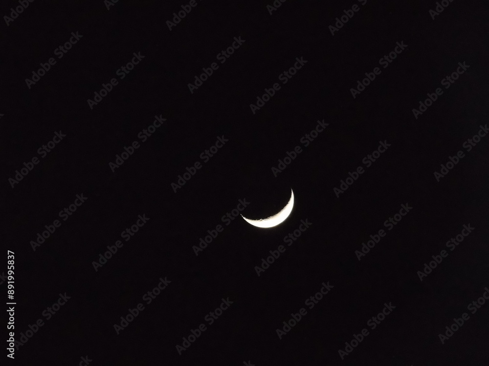 moon in the night moon in the night