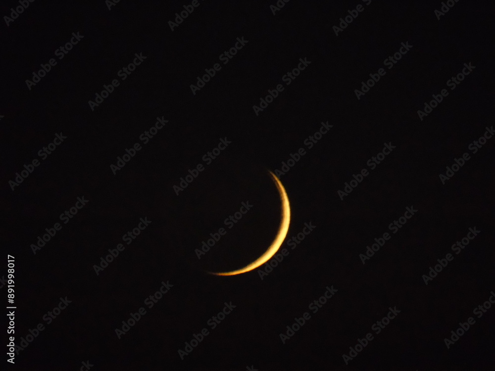 moon moon