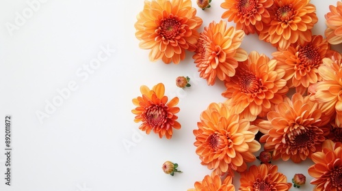 Fototapeta Naklejka Na Ścianę i Meble -  Close up bouquet of orange chrysanthemum flowers on white background with copy space