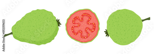 Guava illustrations. Fresh ripe guava fruit in cut. Juicy tropical fruit isolated on white background