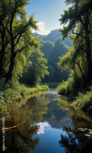 Tranquil River in a Lush Forest.