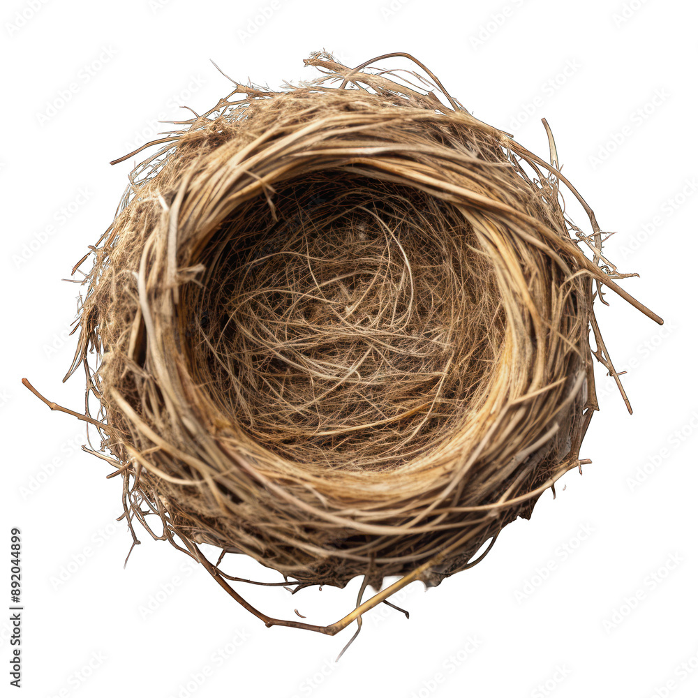 Obraz premium Bird-nest empty top view isolated on transparent background