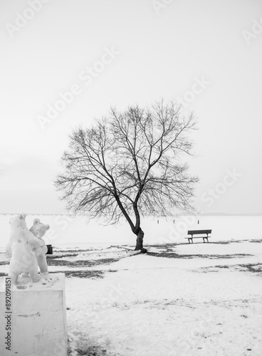 tree in the snow