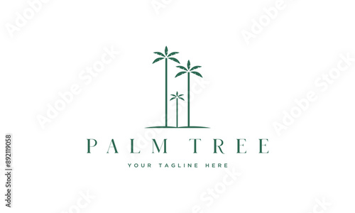 vector palm tree logo design