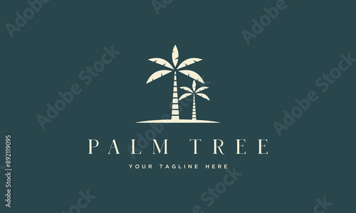vector palm tree logo design