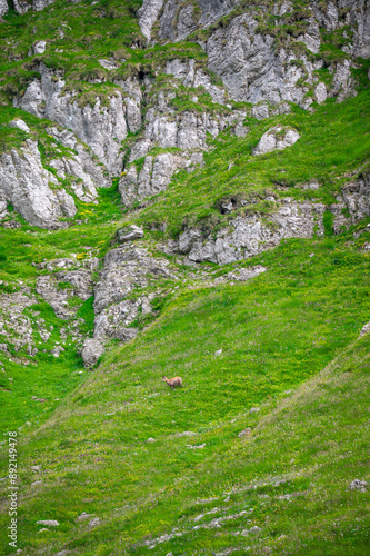 Epic Summer Hike to Refugiul Țigănești: Camping on the Ridge and Exploring Cabana Mălăiești photo