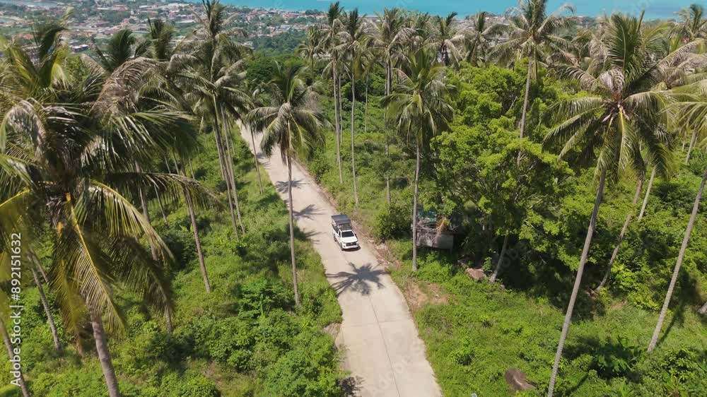 Car driving on road through tropical forest with palm trees on island majestic nature tropical landscapes aerial view. Footage of car traveling on road amidst tropical jungle palm trees on island. Car driving on road through tropical forest with palm trees on island majestic nature tropical landscapes aerial view. Footage of car traveling on road amidst tropical jungle palm trees on island.