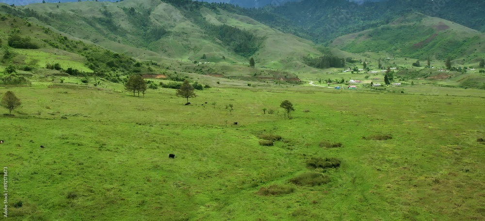 Greenery and beautiful nature view Greenery and beautiful nature view