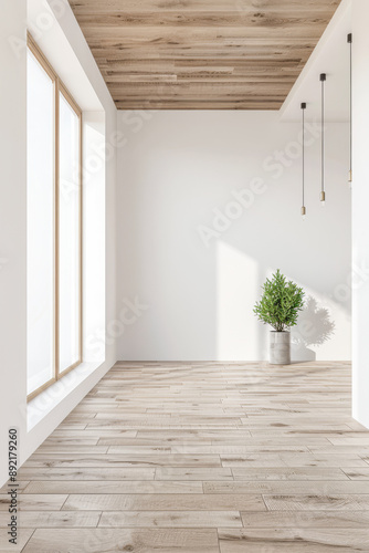 Residential empty room interiors with no furniture  natural lighting and ample copy space. Mockup interiors conceptual image.