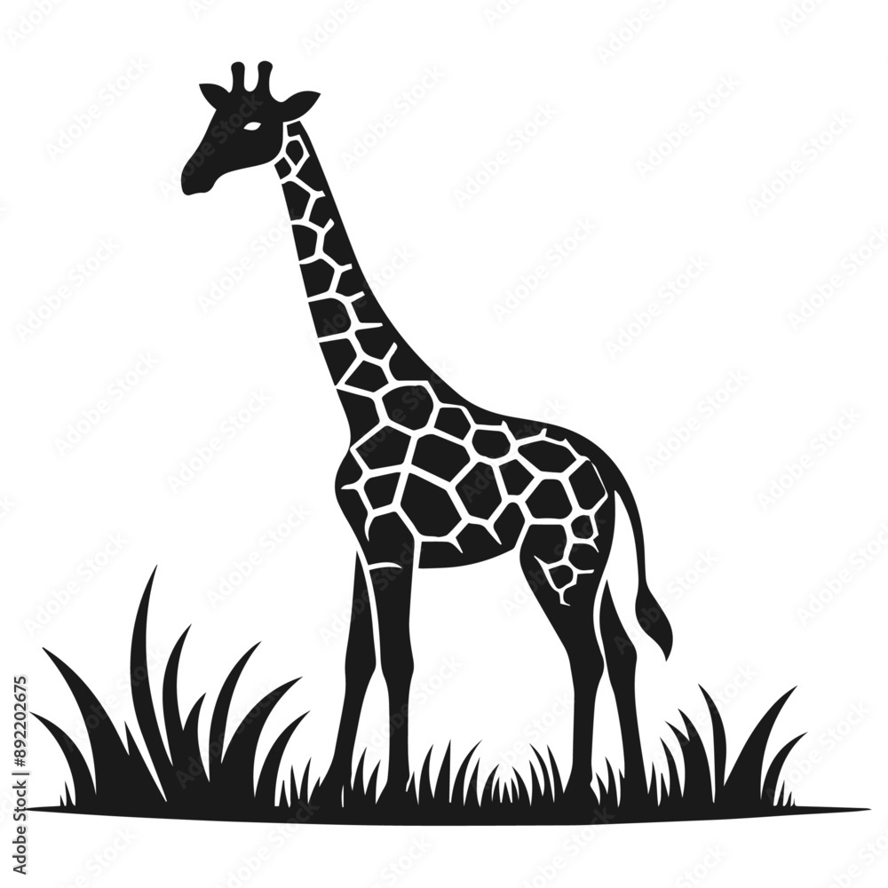 Clean Black and white Vector silhouette of a Giraffe on white background Clean Black and white Vector silhouette of a Giraffe on white background