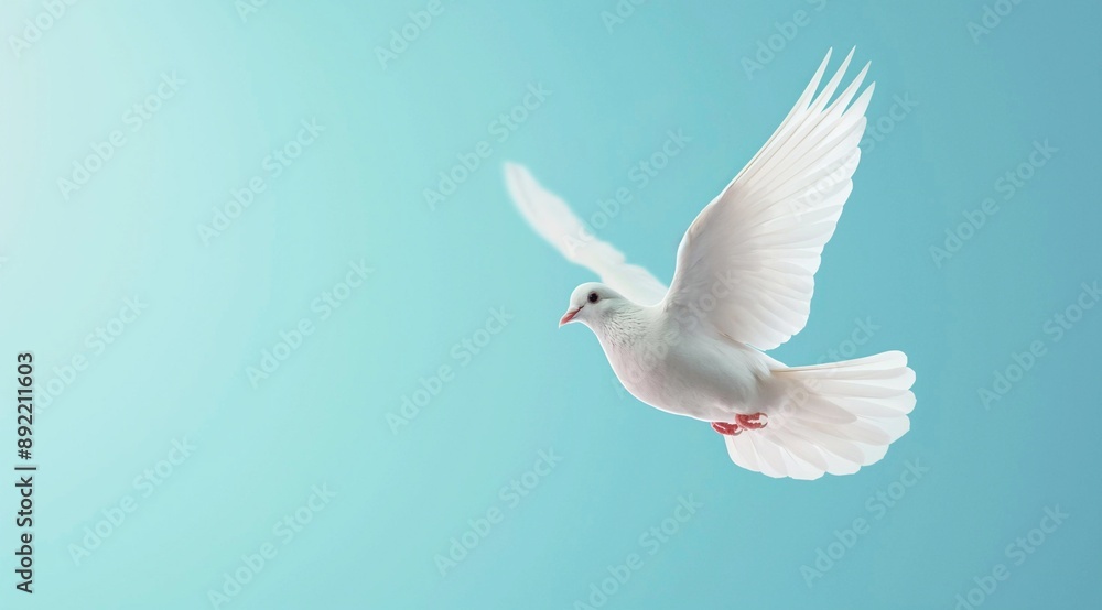 Flying white dove against the blue sky. Freedom and peace concept. 3D rendering. Banner, place for text. Flying white dove against the blue sky. Freedom and peace concept. 3D rendering. Banner, place for text.