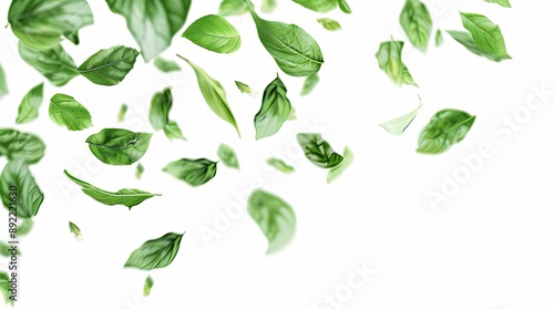 Flying green leaves isolated on white background.